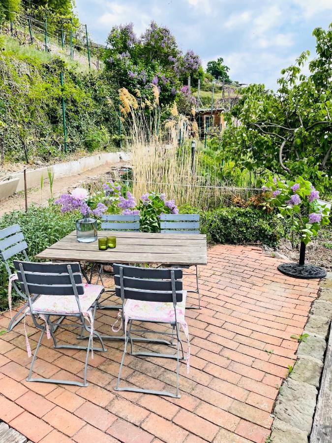 Ferienwohnung Am Elberadweg Meissen Bagian luar foto